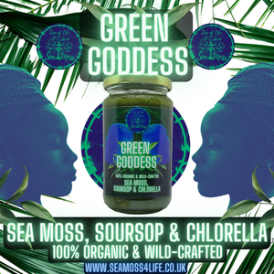 "The Green Goddess" Gel - Tree of Life Sea Moss & Shea Butters